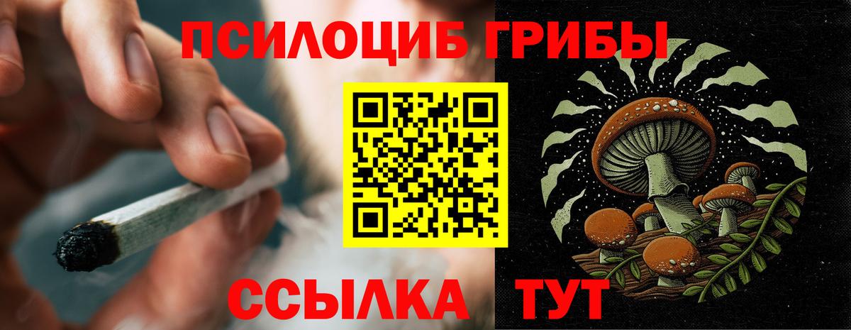 Галлюциногенные грибы прущие грибы  Вход с VPN  дарнет шоп  Галлюциногенные грибы Magic Shrooms  Коркино 